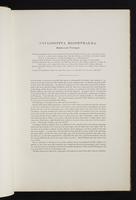 The birds of New Guinea, 1:26