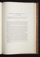 The birds of New Guinea, 1:350