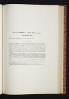 The birds of New Guinea, 1:176