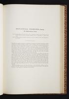 The birds of New Guinea, 1:158