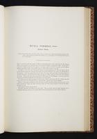 The birds of New Guinea, 1:146