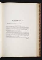 The birds of New Guinea, 1:140