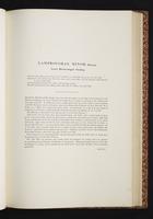 The birds of New Guinea, 1:116