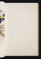 The birds of New Guinea, 1:108