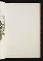 The birds of New Guinea, 1:102