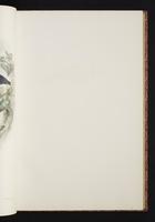 The birds of New Guinea, 1:84