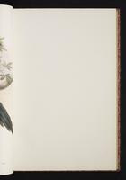 The birds of New Guinea, 1:78