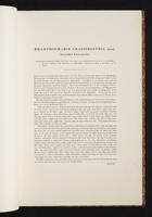 The birds of New Guinea, 1:62