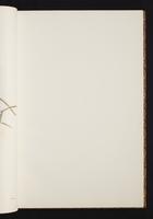 The birds of New Guinea, 1:36