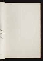 The birds of New Guinea, 1:30