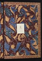 The birds of New Guinea, 1:446