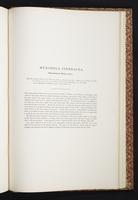 The birds of New Guinea, 1:422