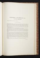 The birds of New Guinea, 1:410