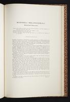 The birds of New Guinea, 1:404