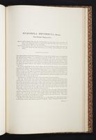 The birds of New Guinea, 1:398