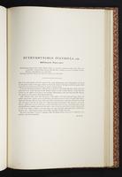 The birds of New Guinea, 1:332