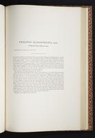 The birds of New Guinea, 1:308