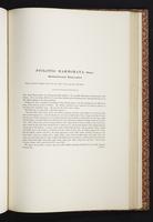 The birds of New Guinea, 1:296