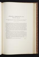 The birds of New Guinea, 1:290