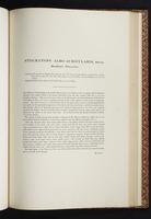 The birds of New Guinea, 1:278