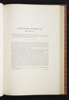 The birds of New Guinea, 1:260