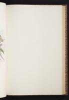 The birds of New Guinea, 1:258