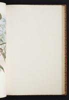 The birds of New Guinea, 1:252