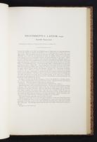 The birds of New Guinea, 1:248