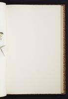 The birds of New Guinea, 1:246