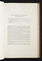 The birds of New Guinea, 1:242