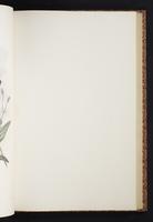 The birds of New Guinea, 1:240