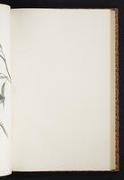 The birds of New Guinea, 1:234