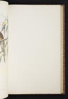 The birds of New Guinea, 1:228