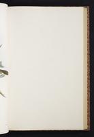 The birds of New Guinea, 1:222