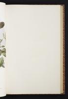 The birds of New Guinea, 1:216