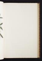 The birds of New Guinea, 1:210