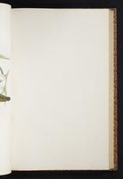 The birds of New Guinea, 1:198