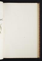 The birds of New Guinea, 1:186