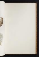 The birds of New Guinea, 1:180