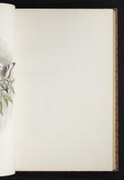 The birds of New Guinea, 1:174