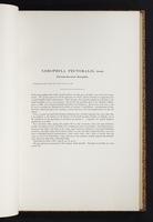 The birds of New Guinea, 1:170