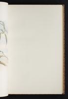 The birds of New Guinea, 1:162