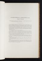 The birds of New Guinea, 1:140