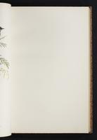 The birds of New Guinea, 1:138