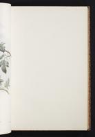 The birds of New Guinea, 1:114