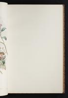 The birds of New Guinea, 1:108