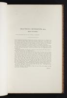 The birds of New Guinea, 1:104