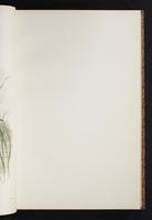 The birds of New Guinea, 1:78