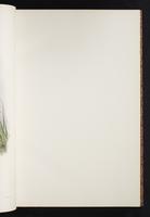 The birds of New Guinea, 1:42