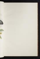 The birds of New Guinea, 1:30